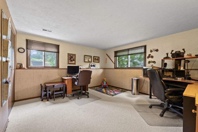 1516 Pembroke Ln, Wheaton, IL 60189 - photo 40