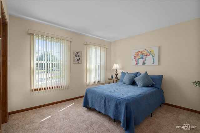 108 River Run Ct, Oswego, IL 60543 - photo 12