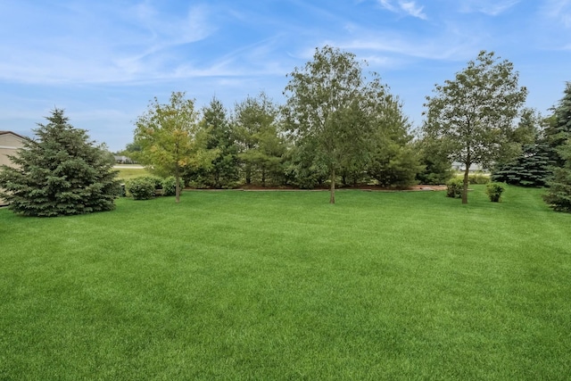 610 Sandburg Dr, Manteno, IL 60950 - photo 24