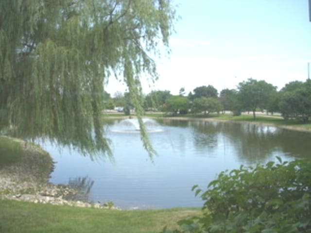 3 Trails Dr Unit W1, Schaumburg, IL 60194 - photo 12