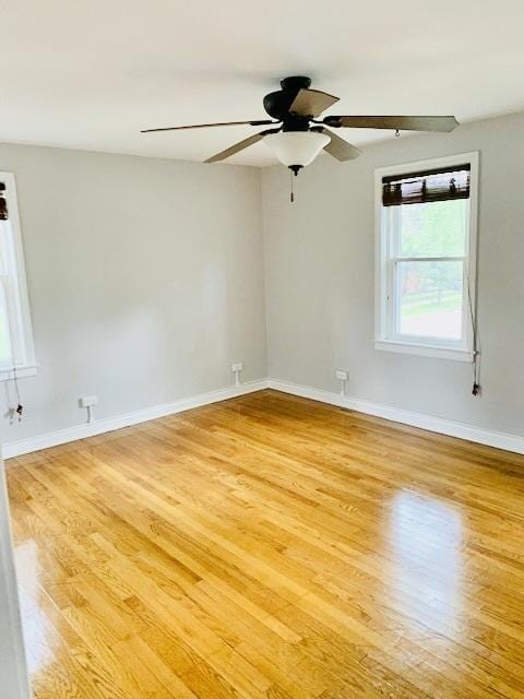 8303 Lawndale Ave, Skokie, IL 60076 - photo 13