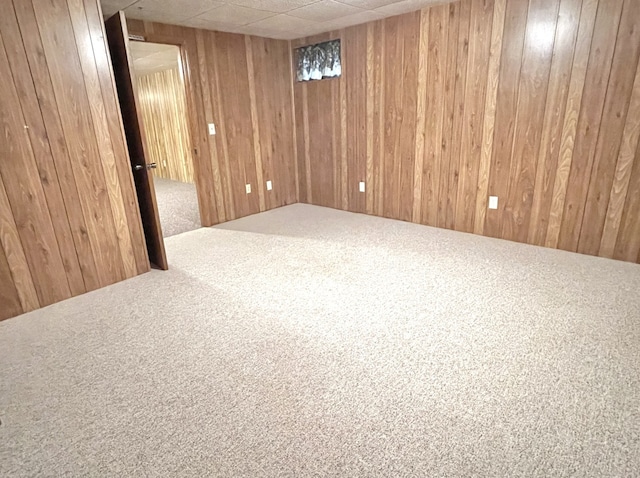 210 Mary Senica Ct, Lasalle, IL 61301 - photo 29