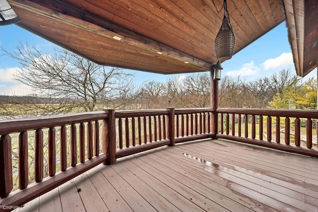 1 Maros Ln, Olympia Fields, IL 60461 - photo 27
