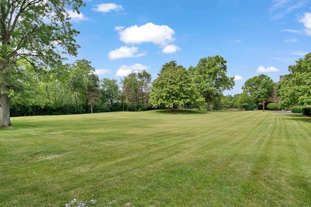 1 Maros Ln, Olympia Fields, IL 60461 - photo 45