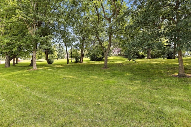 5N175 Oak Hill Dr, Saint Charles, IL 60175 - photo 81