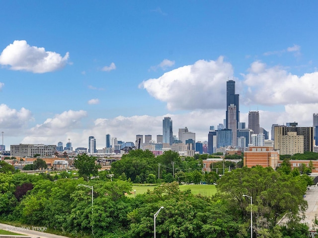 2545 S Dearborn St Unit 611, Chicago, IL 60616 - photo 23