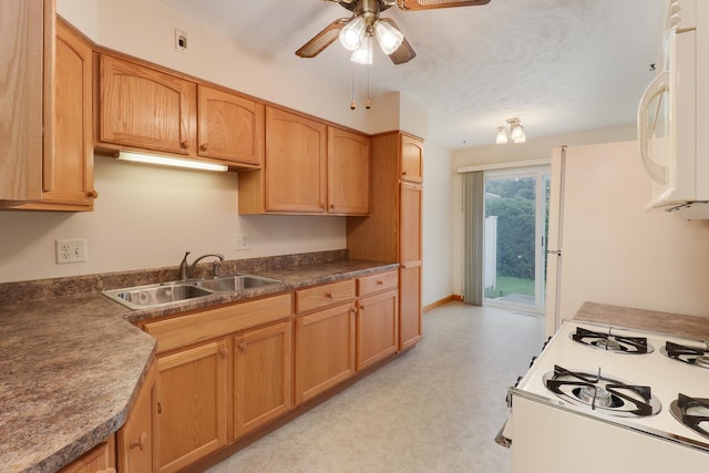 2516 E Washington St Unit A, Bloomington, IL 61704 - photo 7