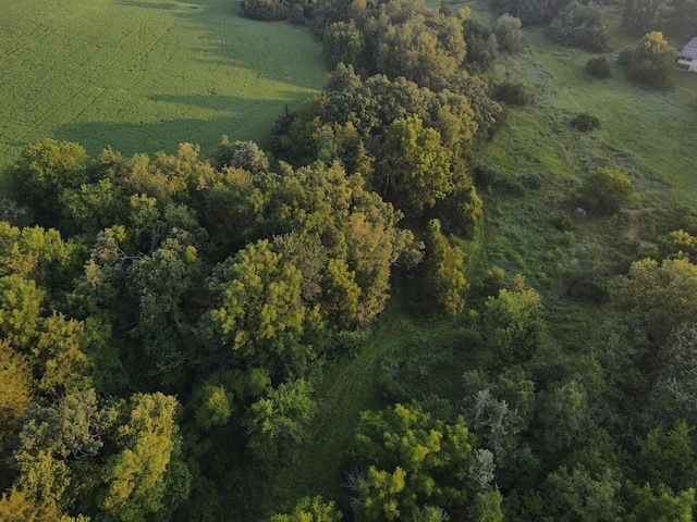 000 Mountain Ln, Freeport, IL 61032 - photo 29