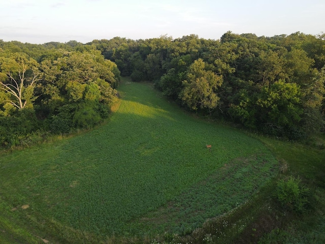 000 Mountain Ln, Freeport, IL 61032 - photo 32