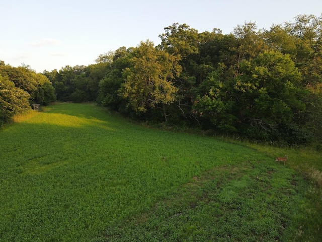000 Mountain Ln, Freeport, IL 61032 - photo 33