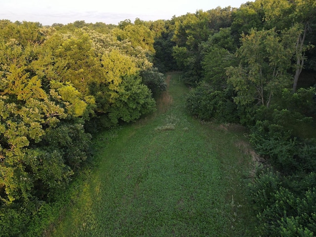 000 Mountain Ln, Freeport, IL 61032 - photo 35