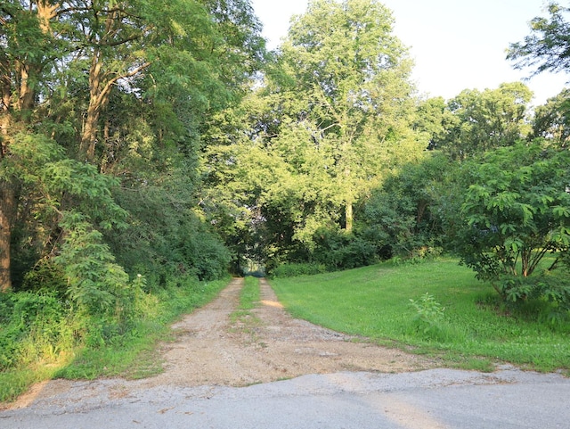 000 Mountain Ln, Freeport, IL 61032 - photo 63
