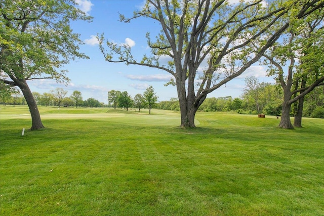 281 Michigan Ave, Highwood, IL 60040 - photo 5