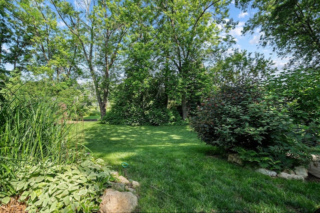 13948 Citation Dr, Orland Park, IL 60467 - photo 43