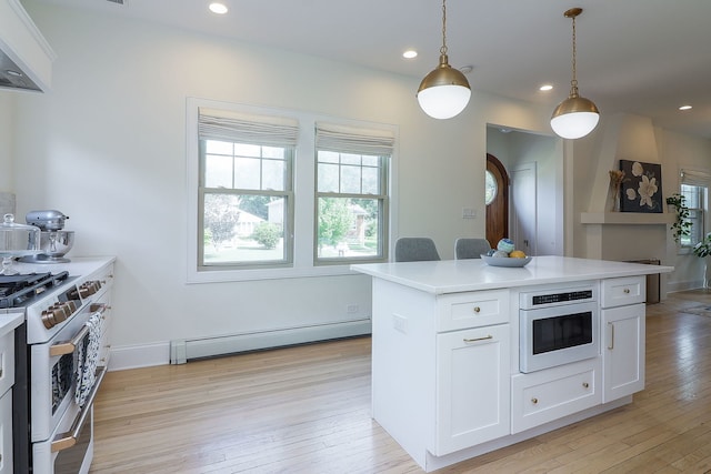 1812 S Fairview Ave, Park Ridge, IL 60068 - photo 10