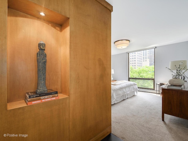 100 E Bellevue Pl Unit 6D, Chicago, IL 60611 - photo 16