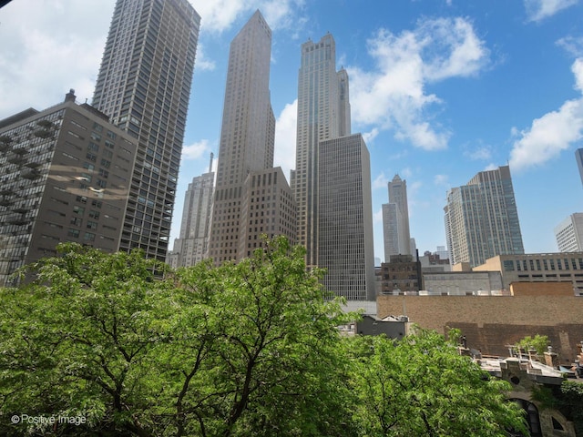 100 E Bellevue Pl Unit 6D, Chicago, IL 60611 - photo 23