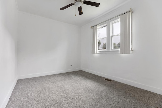 8128 S Clyde Ave, Chicago, IL 60617 - photo 12