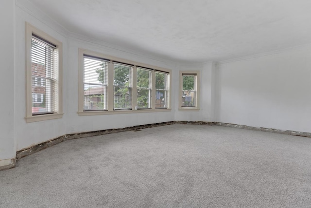 8128 S Clyde Ave, Chicago, IL 60617 - photo 4