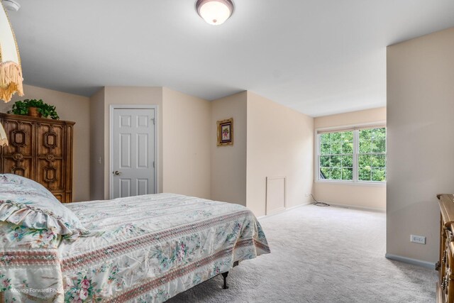 29W509 Cerny Cir, Warrenville, IL 60555 - photo 23