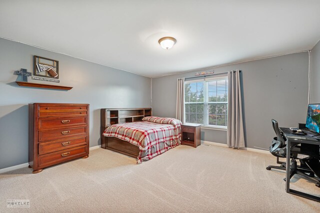 403 Wilton Ct, Oswego, IL 60543 - photo 28