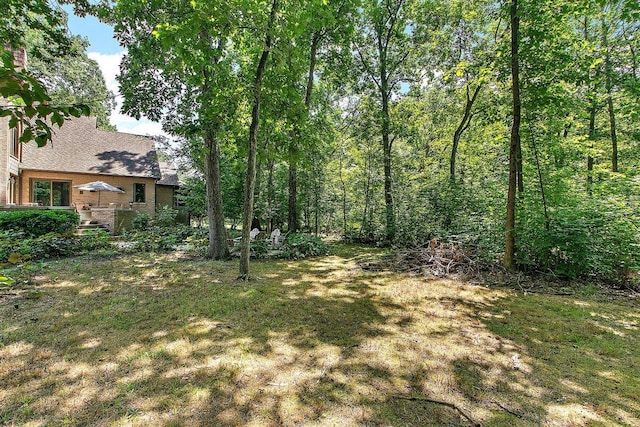 1018 S Butternut Cir, Frankfort, IL 60423 - photo 42