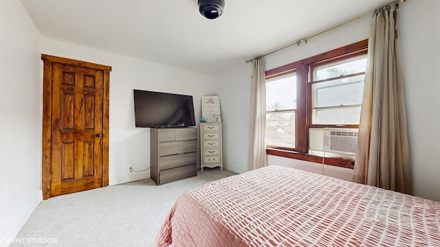 10829 S Maplewood Ave, Chicago, IL 60655 - photo 14