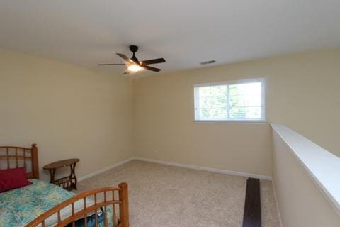 9520 Lenox Ln Unit 9520, Lakewood, IL 60014 - photo 11