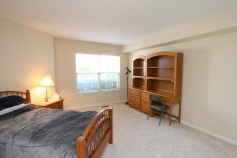 9520 Lenox Ln Unit 9520, Lakewood, IL 60014 - photo 7
