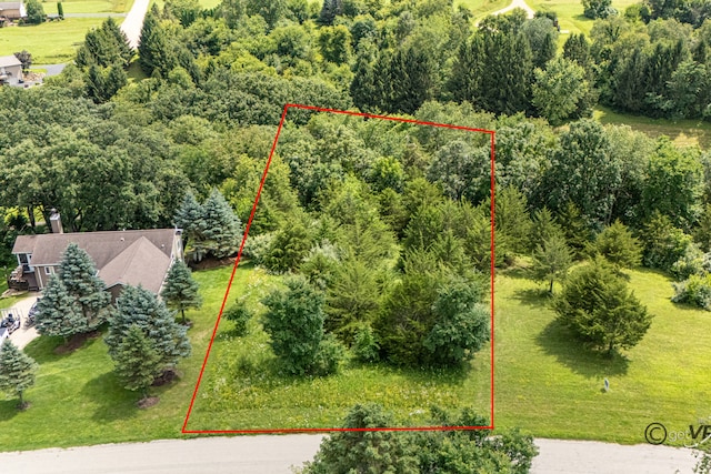 11A70 Fairway Dr, Apple River, IL 61001 - photo 1