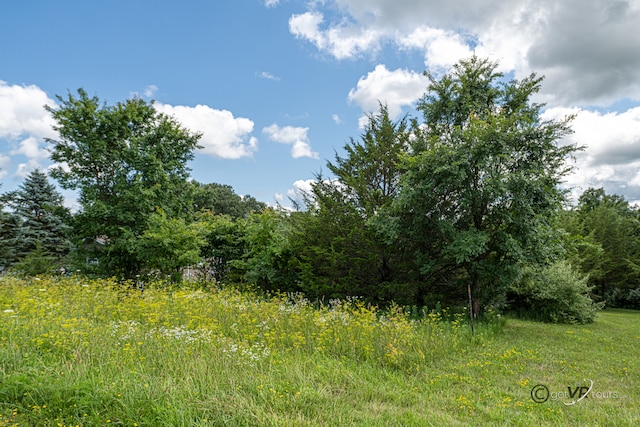 11A70 Fairway Dr, Apple River, IL 61001 - photo 5