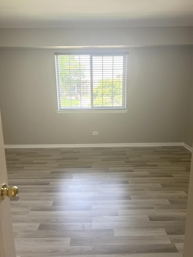 1505 N Windsor Dr Unit 206, Arlington Heights, IL 60004 - photo 13
