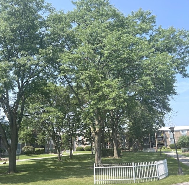 1505 N Windsor Dr Unit 206, Arlington Heights, IL 60004 - photo 6