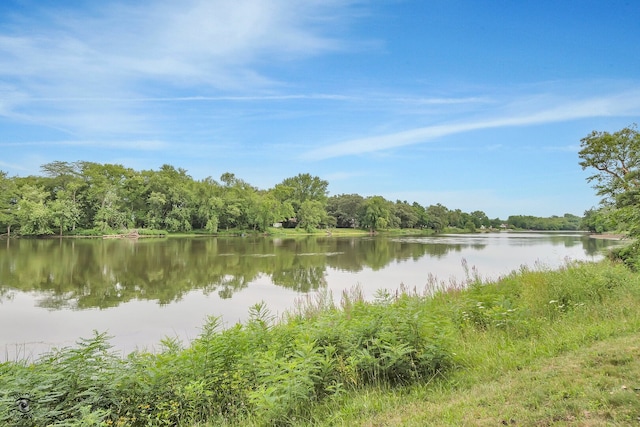 864 Ash Dr, Saint Anne, IL 60964 - photo 9