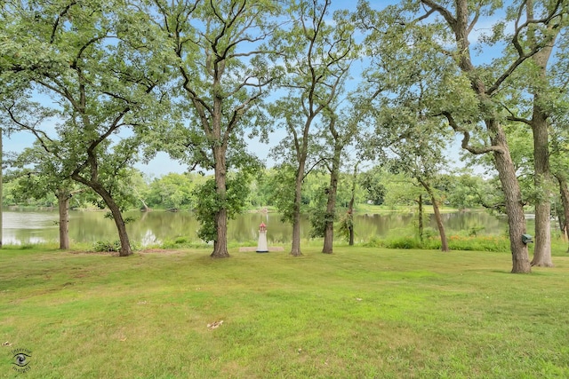 864 Ash Dr, Saint Anne, IL 60964 - photo 10
