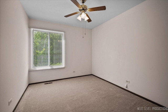 35W837 Crispin Dr, Elgin, IL 60123 - photo 15