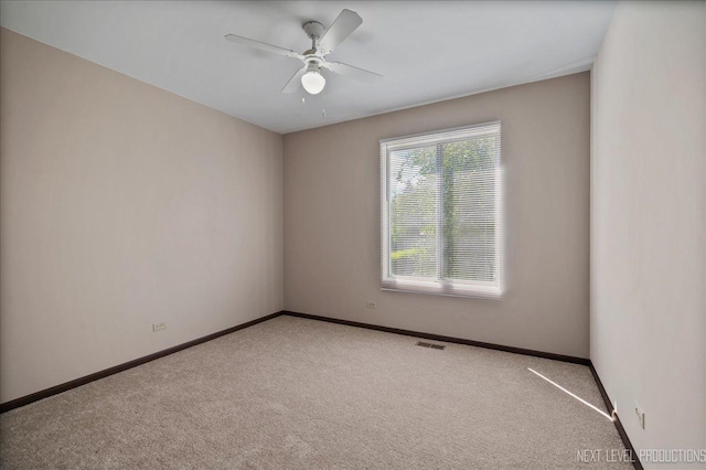 35W837 Crispin Dr, Elgin, IL 60123 - photo 16