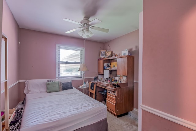 23336 W Peterson Dr, Plainfield, IL 60586 - photo 13