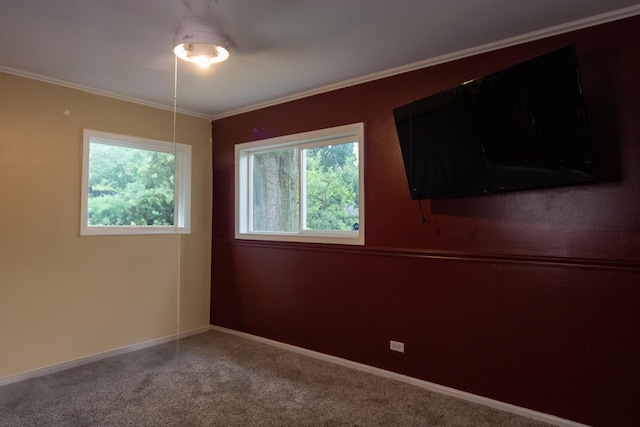 119 Willow St, Park Forest, IL 60466 - photo 12