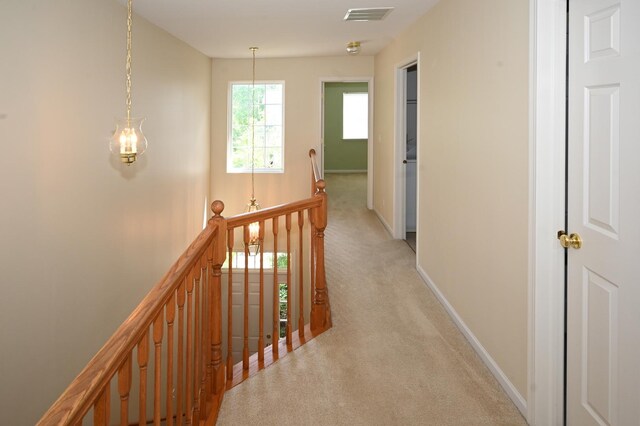 573 Telluride Dr Unit 0, Gilberts, IL 60136 - photo 21