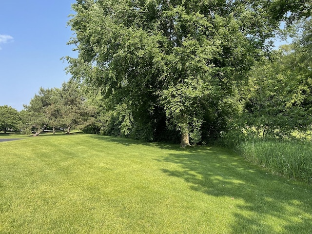 3S043 Timber Dr Unit 043, Warrenville, IL 60555 - photo 14