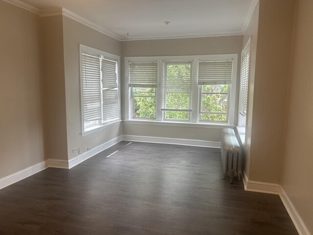 8227 S Evans Ave, Chicago, IL 60619 - photo 6