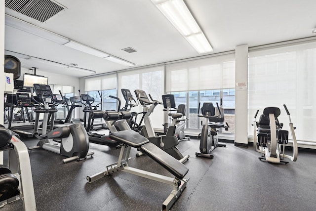 4800 S Chicago Beach Dr Unit 702S, Chicago, IL 60615 - photo 16