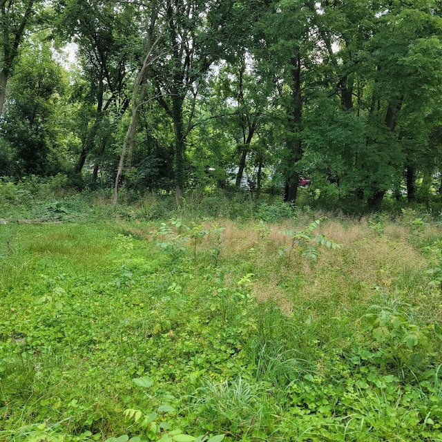 25570 W High St, Wauconda, IL 60084 - photo 4