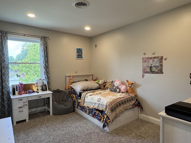 1223 N Bush Ave, Kankakee, IL 60901 - photo 16