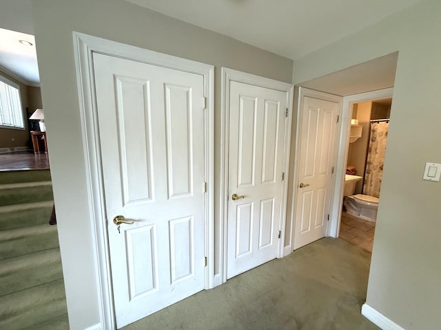 10014 Major Ave, Oak Lawn, IL 60453 - photo 10