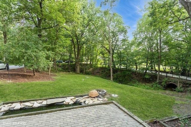 3506 W Oakhill Dr, Crete, IL 60417 - photo 3