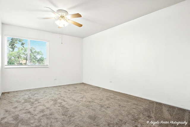 920 Beau Dr Unit 110, Des Plaines, IL 60016 - photo 4