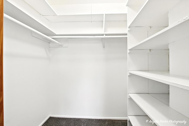 920 Beau Dr Unit 110, Des Plaines, IL 60016 - photo 6