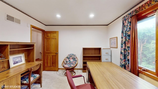 4286 White Birch Dr, Lisle, IL 60532 - photo 21